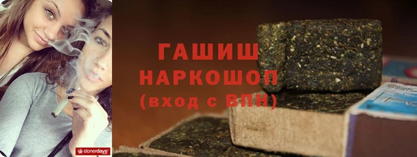 СК Новодвинск
