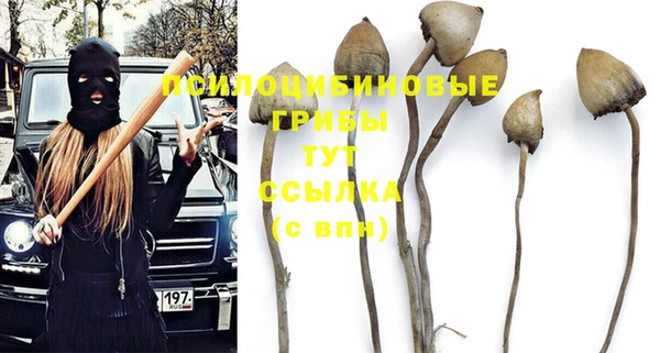 хмурый Костерёво